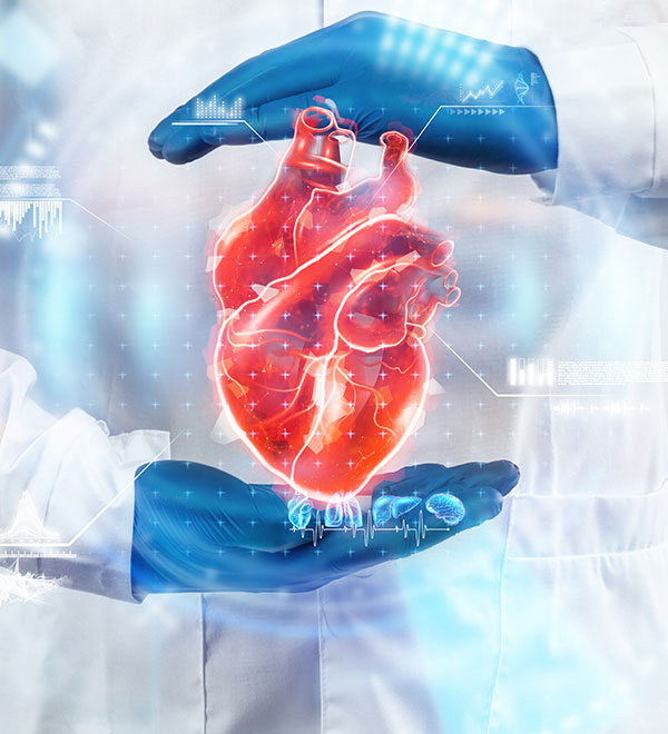 High-Level Expertise in Interventional Cardiology